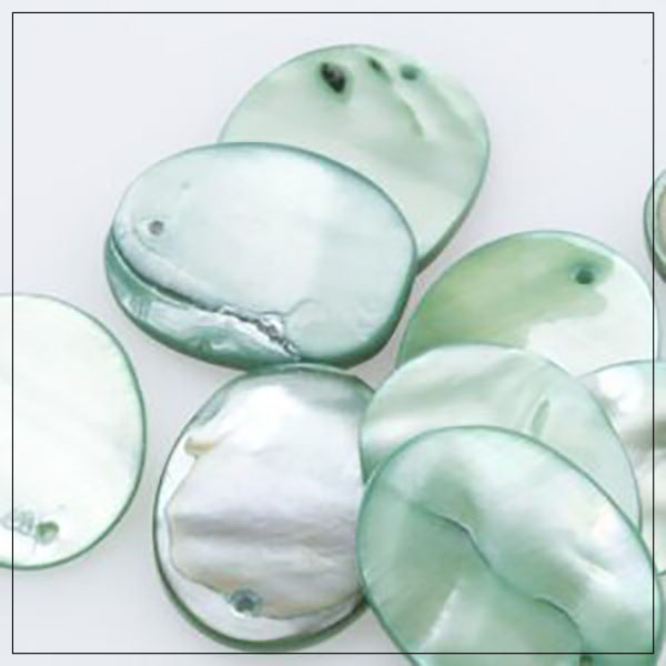 Perlemorsskive oval flad grøn