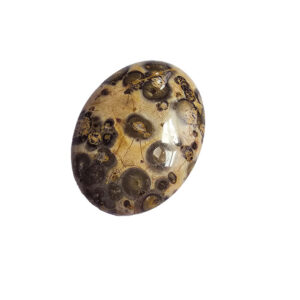 Cabochon leopartskinds agat 30x22mm 1stk